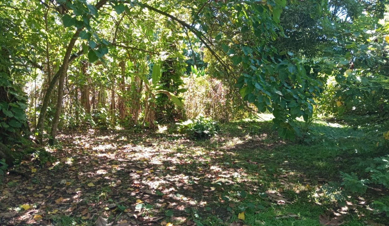 1775145749_VT305_4_original