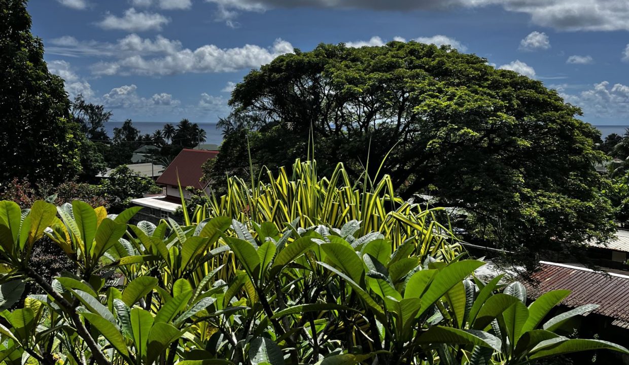 1776393792_VA2348_7_original