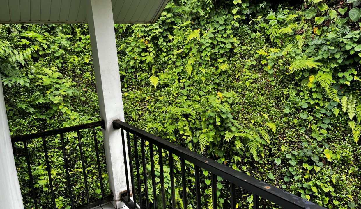 1777318738_VM578_9_original