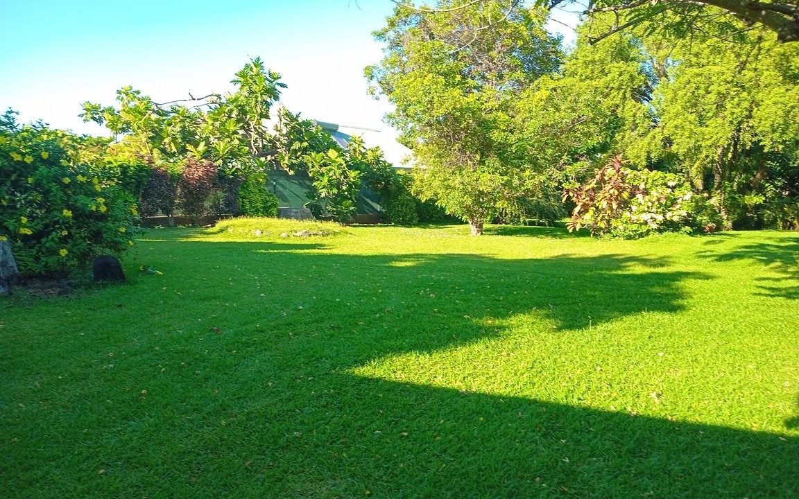 1743124196_VT236_3_original