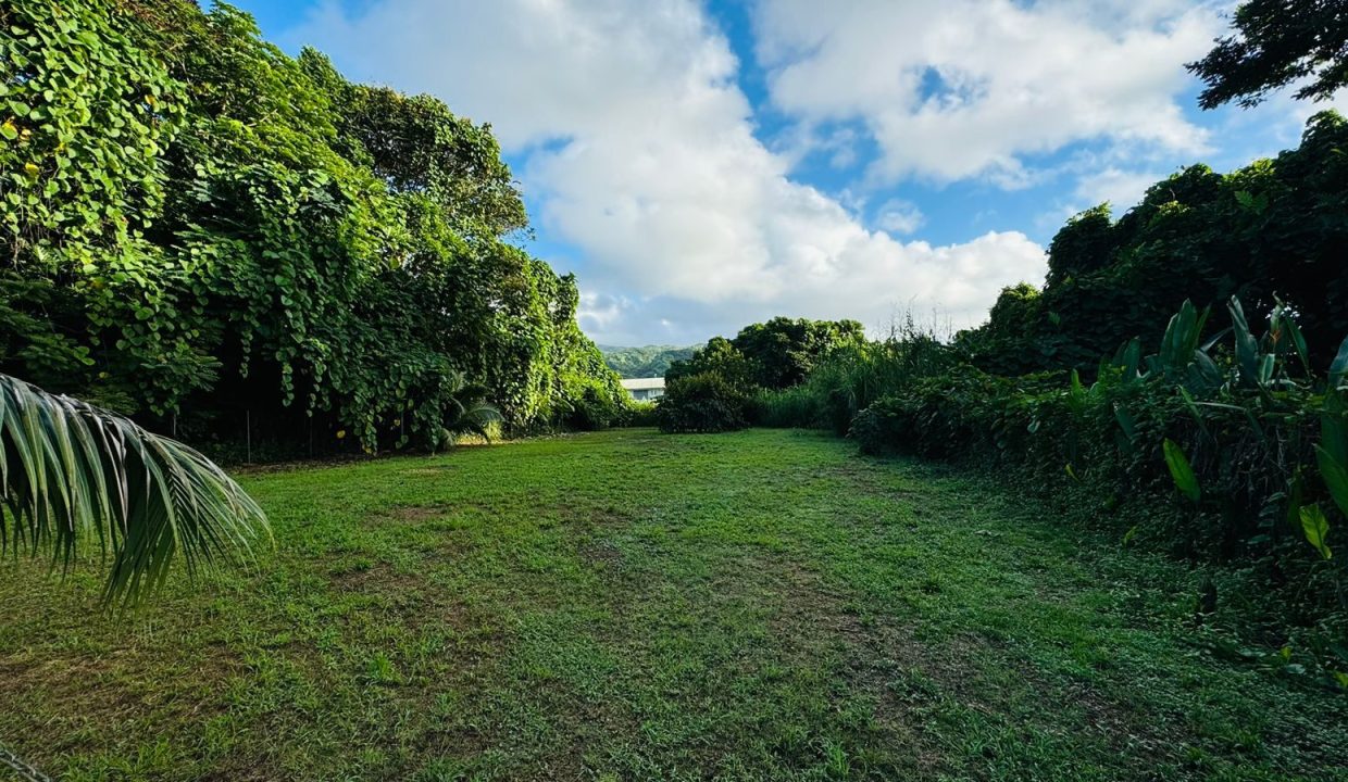 1747424558_VT251_1_original